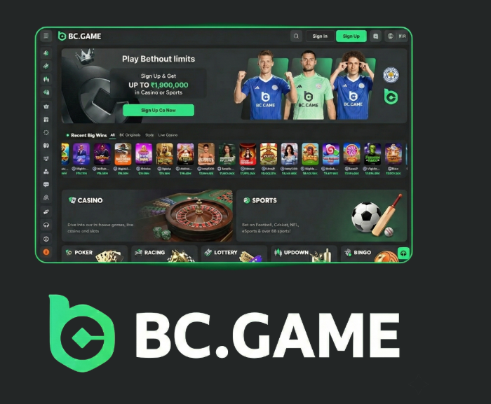 Discovering the BC.Game Platform A New Era of Online Gaming in France -220585416
